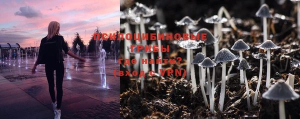 прущая мука Протвино